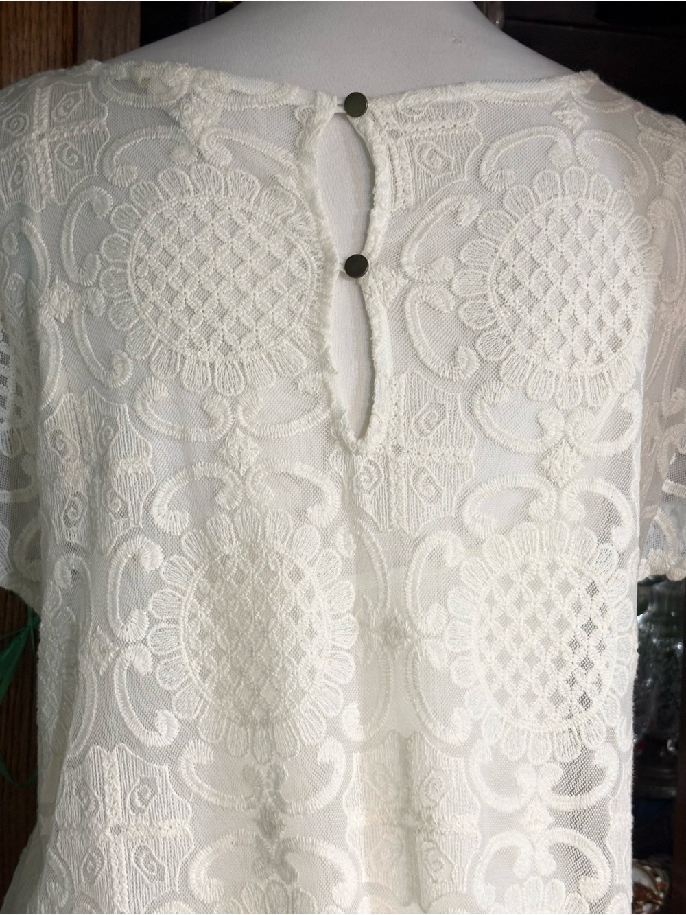 Anthropologie Lilka Bellflower Lace Maxi Dress. It is a bohemian-style small - Picture 11 of 16
